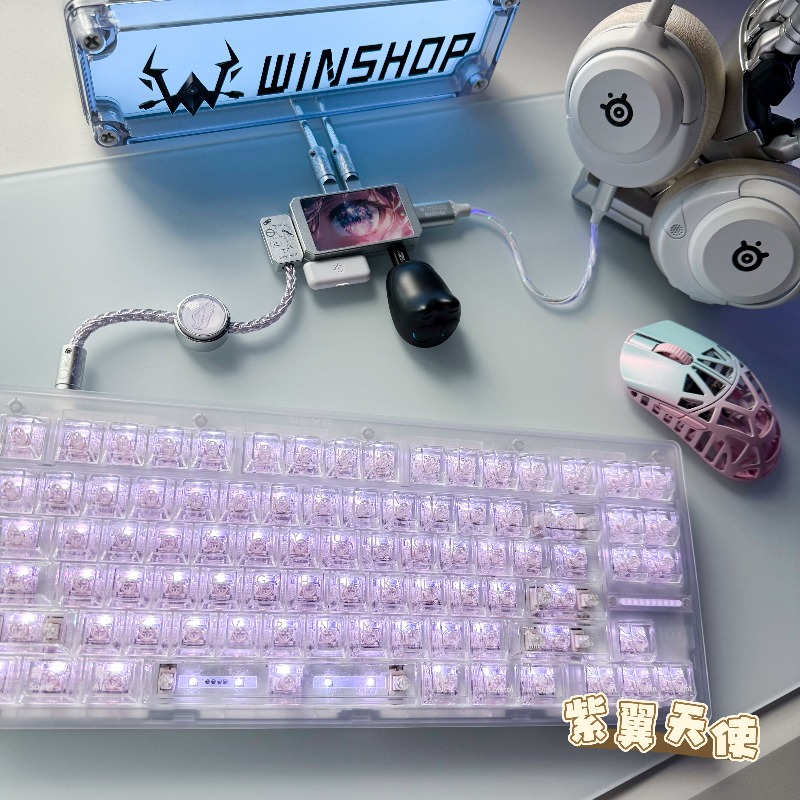 WINSHOP Esports HUB Dual-In 4- - Desk Setup Usb Hub 리뷰 및 가격
